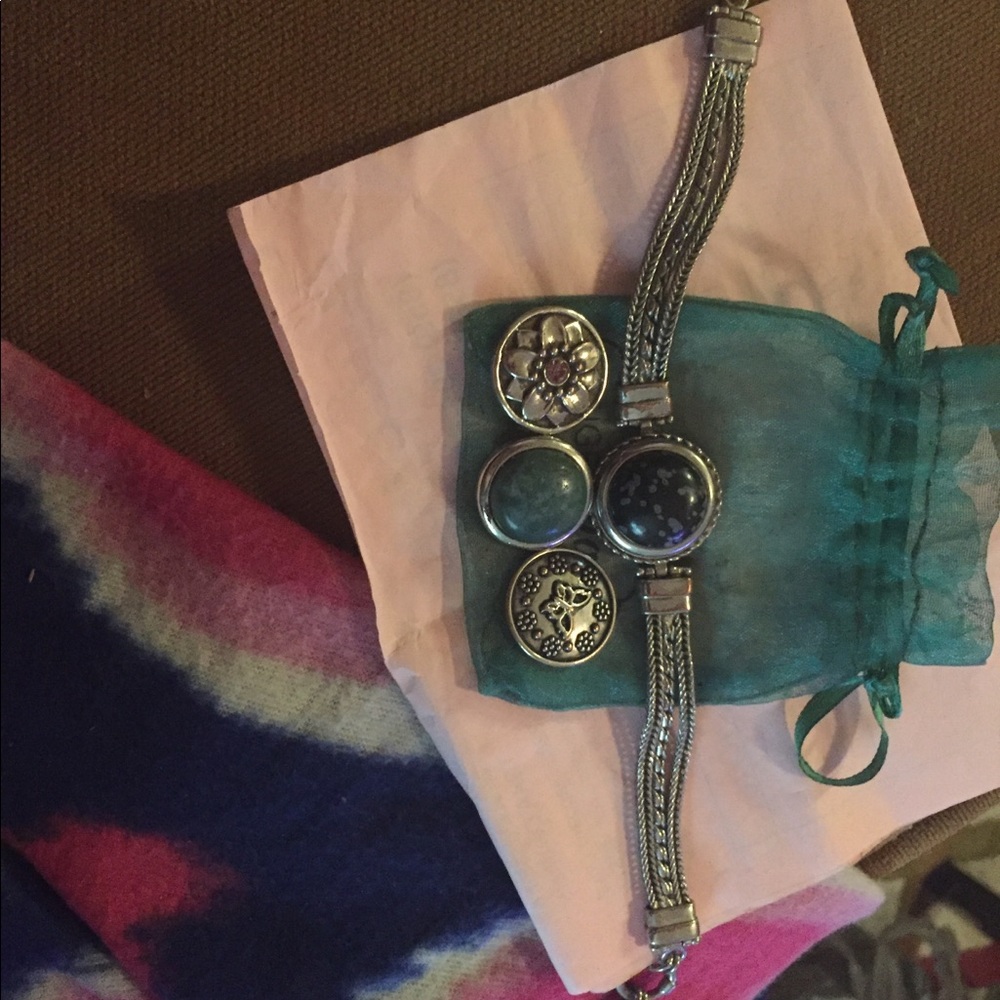 Ginger snaps interchangeable charms bracelet